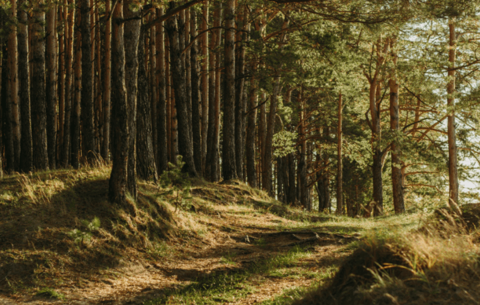 ČUO JE ŠUŠKANJE, OKLIZNUO SE I OPALIO: Upucao školskog druga iz nehata